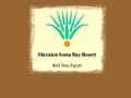 Sheraton Soma Bay Resort