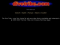Dive Tribe Diving Center